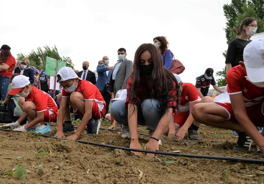 Bozüyük Halk Eğitimi Merkezi