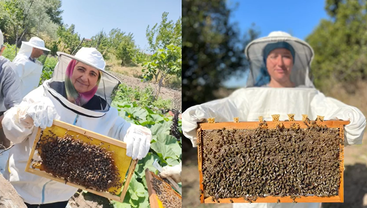 Lapseki Halk Eğitimi Merkezi